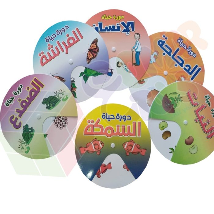 ⁦سلسلة الانشطة التفاعلية | دورة الحياة Life cycle⁩ - الصورة ⁦1⁩