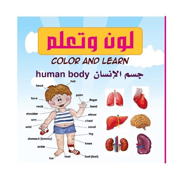 ⁦لون و تعلم  من سكوير⁩ - الصورة ⁦7⁩