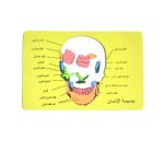 ⁦بازل فوم تعليمي لاجزاء جسم الانسان الجمجمة، الجهاز التنفسي، المخ، الفم باللغة العربية والانجليزية⁩ - الصورة ⁦6⁩