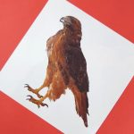 ⁦كروت البيبى المستوى الثانى⁩ - الصورة ⁦5⁩