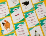 ⁦موسوعة بذور من 80 فكرة⁩ - الصورة ⁦4⁩