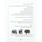 ⁦سلسلة توظيف المفردات_ الصفات (الاسماء ذات الصفتين) 5 مستويات للتدريب⁩ - الصورة ⁦7⁩