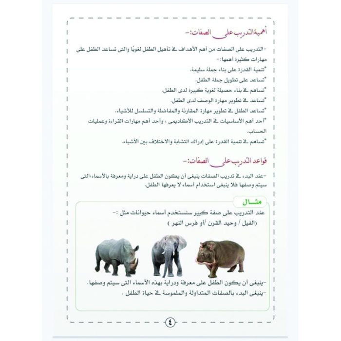 ⁦سلسلة توظيف المفردات_ الصفات (الاسماء ذات الصفتين) 5 مستويات للتدريب⁩ - الصورة ⁦7⁩