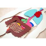 ⁦صندوق جسم الانسان⁩ - الصورة ⁦12⁩