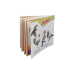 ⁦باكو 26 رسالة - الصحابة⁩ - الصورة ⁦22⁩
