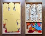 ⁦صندوق اجزاء جسم الانسان⁩ - الصورة ⁦14⁩