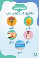 ⁦حكاية وبداية 80 فكرة⁩ - الصورة ⁦20⁩